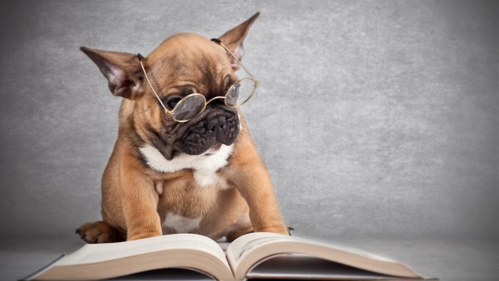 well read pug.jpg