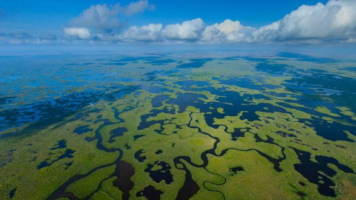 Aerial view of Everglades National park in Florida.jpg