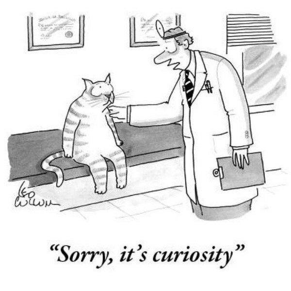 sorry-its-curiosity_small