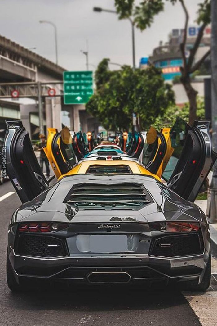 Lambo Line Up.jpg