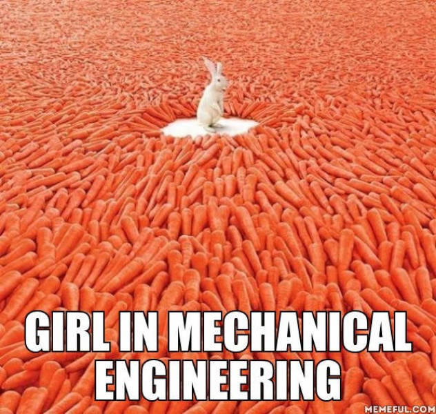 girl in mechanical engineering.jpg