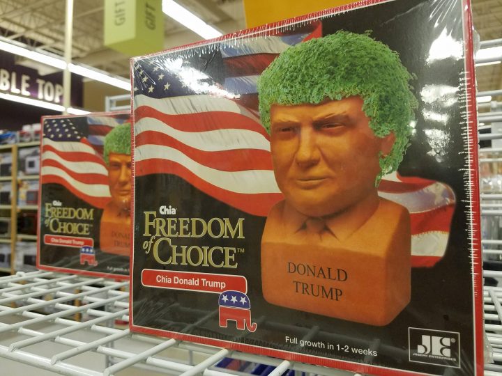 Donald Trump Chia.jpg