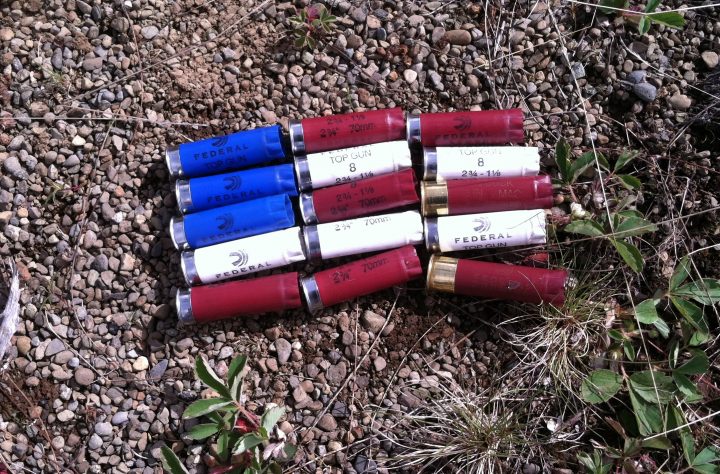 Spent Ammo for the fourth.jpg