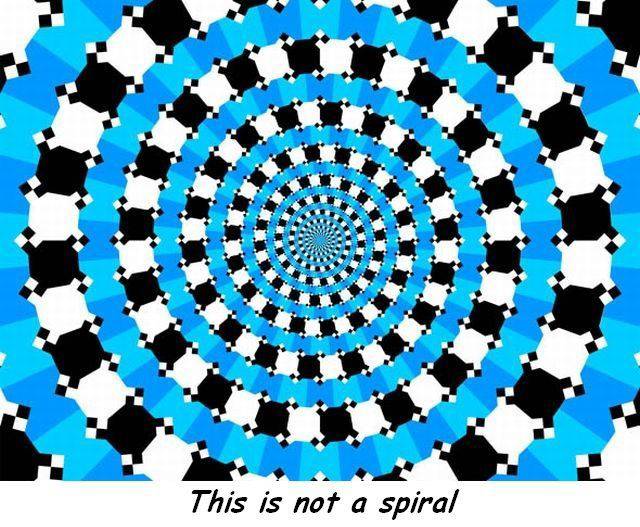 this is not a sprial.jpg