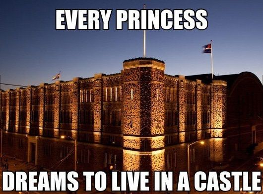 every princess dreams to live in a castle.jpg