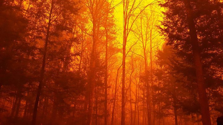 2016 Great Smokey Mountain Fire.jpg