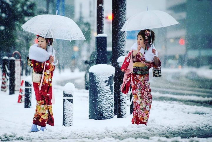 Frozen Umbrellas.jpg