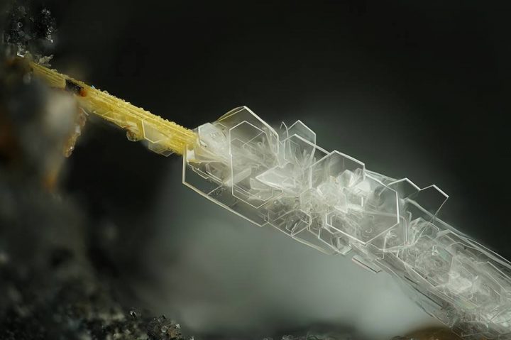 hydrocerussite-thorikosite