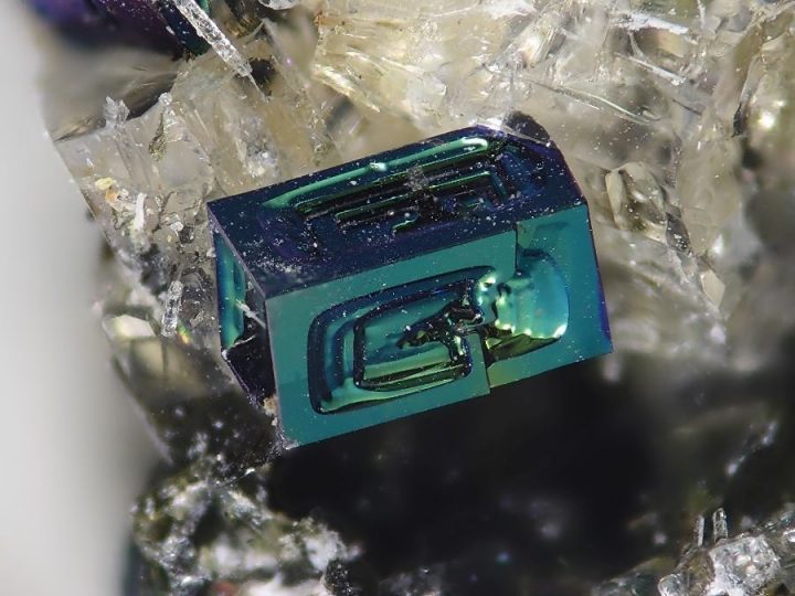 perovskite