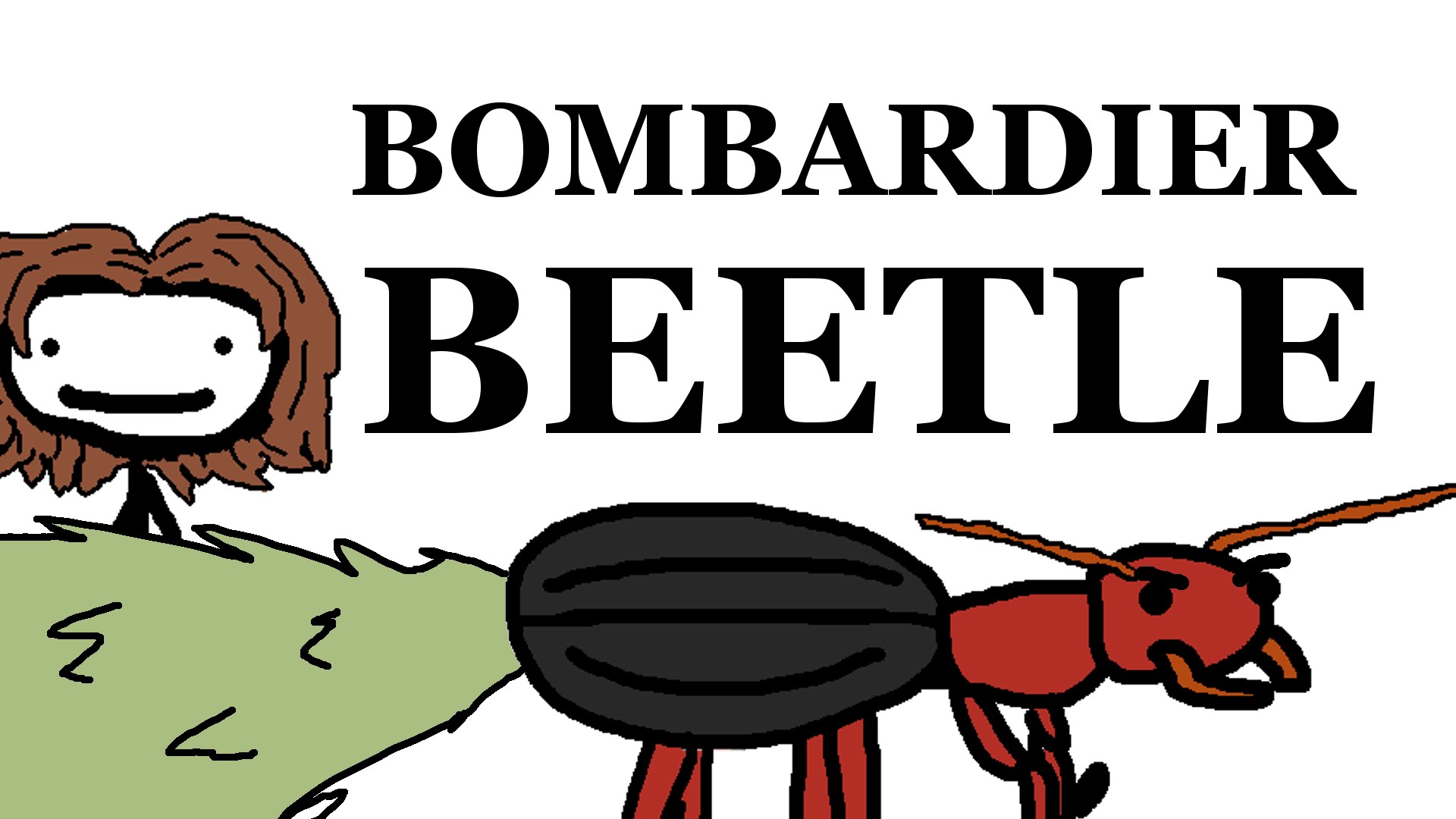 the-bombardier-beetle-myconfinedspace