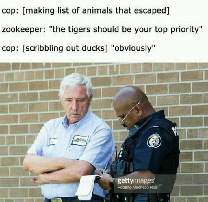 list of animals that escaped.jpg