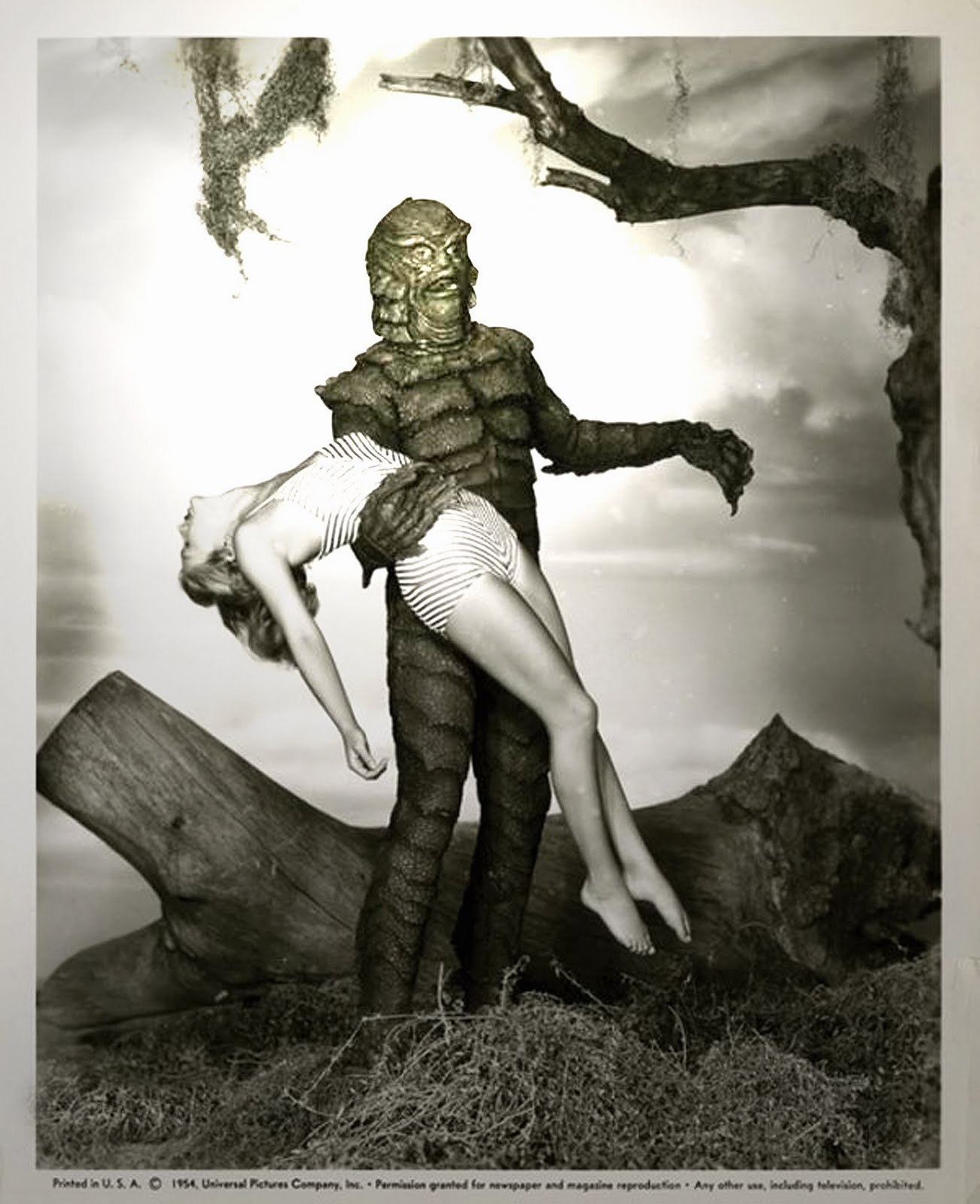 the creature stealing julie adams - MyConfinedSpace