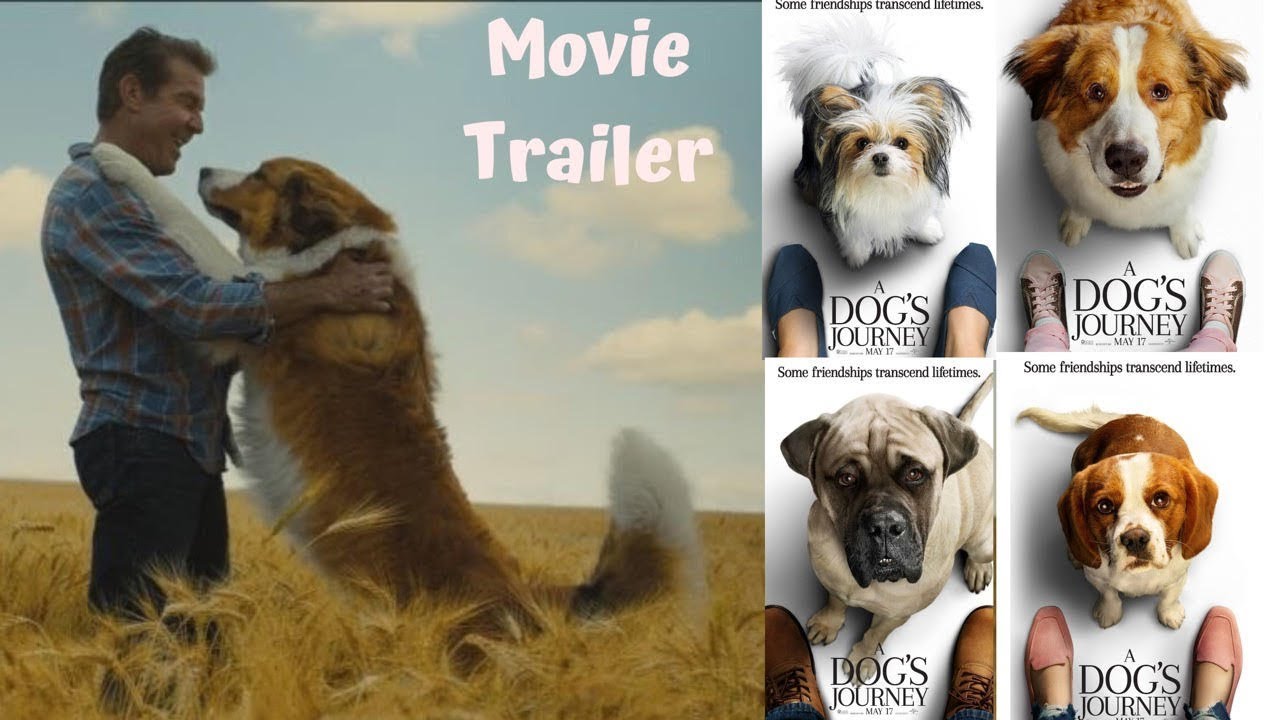 is a dog's journey part 2 of a dog's purpose