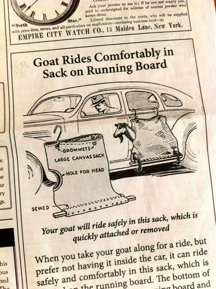 GOAT SACK | MyConfinedSpace