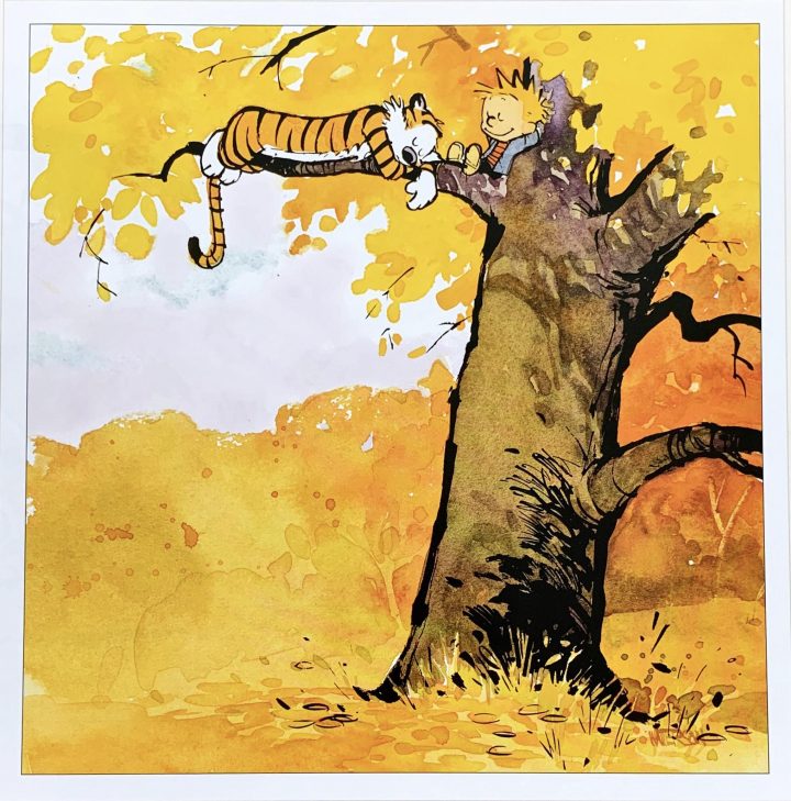 calvin and hobbes in a tree | MyConfinedSpace