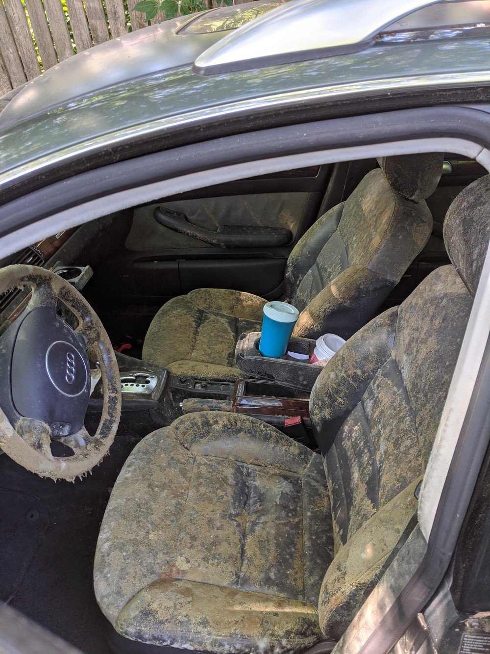 How To Get Rid Of Mold In Car Boot