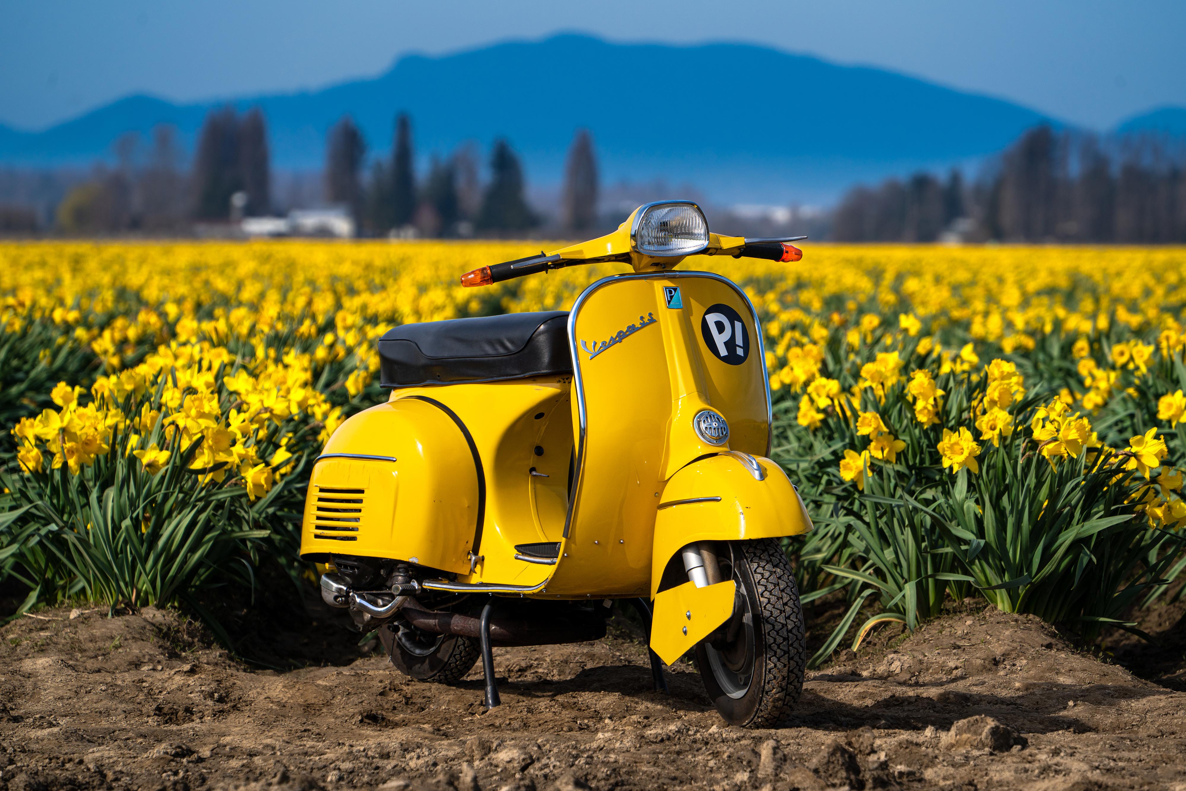 1965 Vespa Super Sport 180 near Seattle « MyConfinedSpace