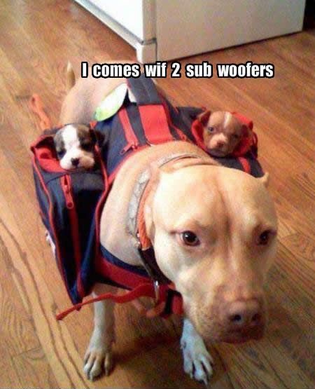 2subwoofers.jpg (39 KB)