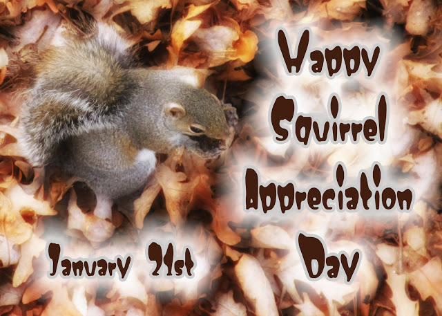 Squirrel-Appreciation-Day.jpg (111 KB)