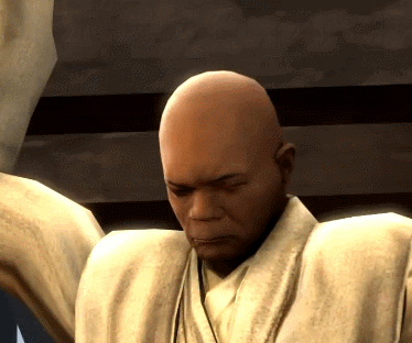 windu_the_spaz_side_of_the_force.gif (4 MB)