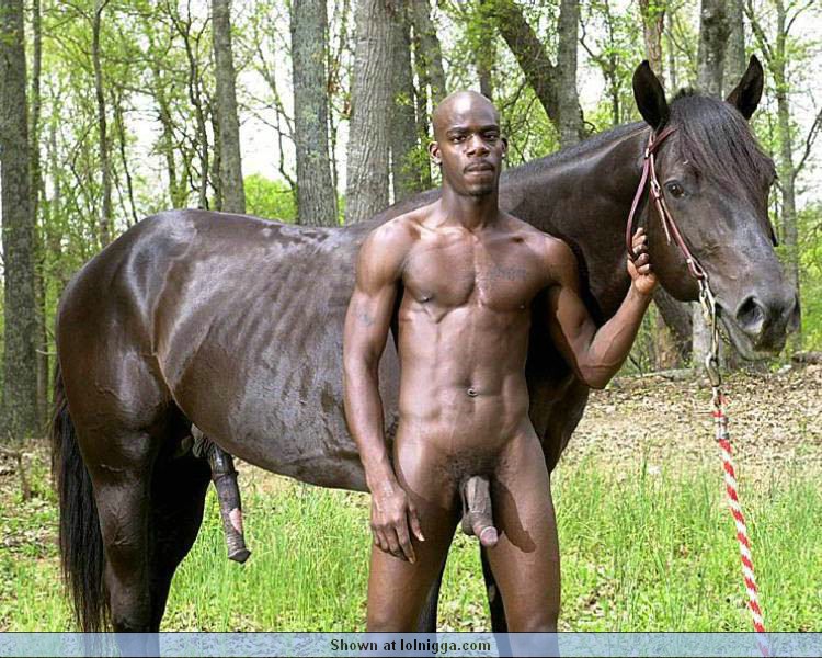 Horse Dick - Horse Xxx Porn Video 230468 | Horse Cock Jpg Horse Cock Jpg