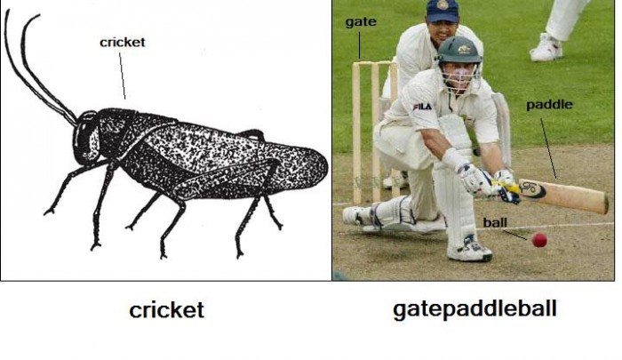 CricketChart.jpg (48 KB)