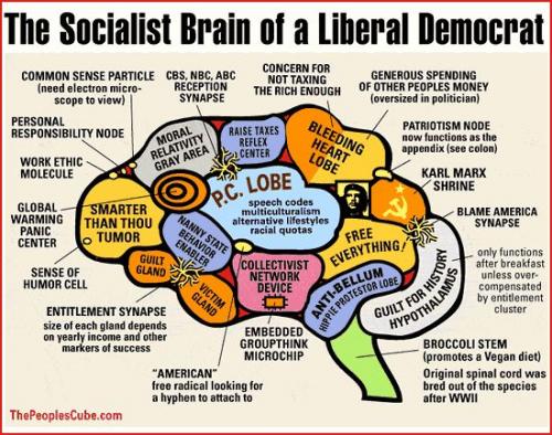 Liberal_Brain.jpg (83 KB)