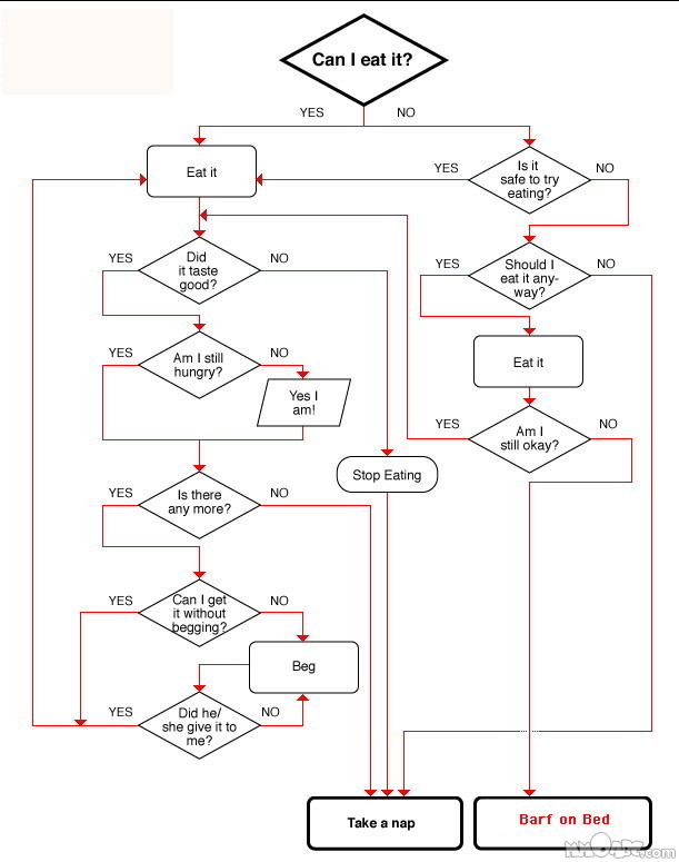 Dog Eating Decision Making Flowchart « MyConfinedSpace