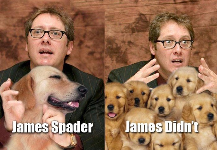 spader.jpg (62 KB)