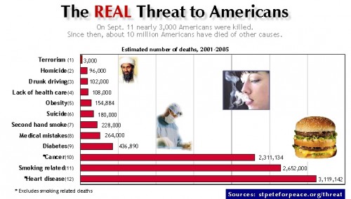 what.kills.americans.july07website2.jpg (122 KB)